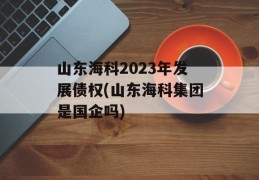 山东海科2023年发展债权(山东海科集团是国企吗)