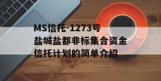 MS信托-1273号盐城盐都非标集合资金信托计划的简单介绍