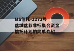 MS信托-1273号盐城盐都非标集合资金信托计划的简单介绍