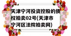 天津宁河投资控股的债权拍卖02号(天津市宁河区法院拍卖网)