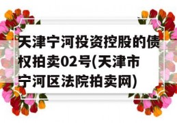 天津宁河投资控股的债权拍卖02号(天津市宁河区法院拍卖网)