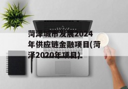 菏泽城市发展2024年供应链金融项目(菏泽2020年项目)