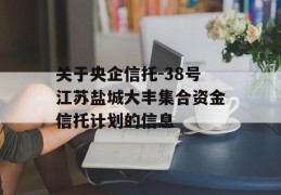 关于央企信托-38号江苏盐城大丰集合资金信托计划的信息