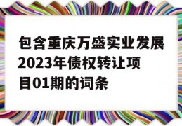 包含重庆万盛实业发展2023年债权转让项目01期的词条