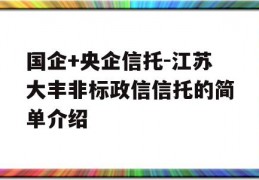 国企+央企信托-江苏大丰非标政信信托的简单介绍