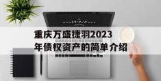 重庆万盛捷羽2023年债权资产的简单介绍