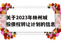 关于2023年林州城投债权转让计划的信息