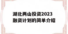 湖北两山投资2023融资计划的简单介绍