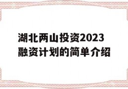 湖北两山投资2023融资计划的简单介绍