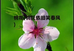 桃花(桃花依旧笑春风)