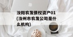 汝阳农发债权资产01(汝州市农发公司是什么机构)