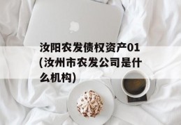 汝阳农发债权资产01(汝州市农发公司是什么机构)