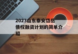 2023山东泰安岱岳债权融资计划的简单介绍