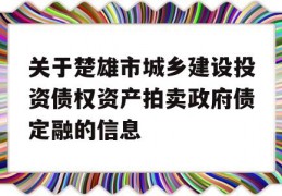 关于楚雄市城乡建设投资债权资产拍卖政府债定融的信息