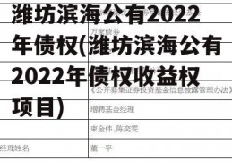 潍坊滨海公有2022年债权(潍坊滨海公有2022年债权收益权项目)