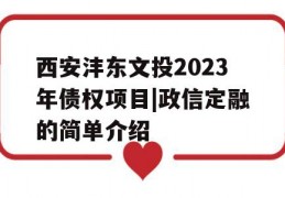 西安沣东文投2023年债权项目|政信定融的简单介绍