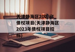 天津静海区2023年债权项目(天津静海区2023年债权项目招标)