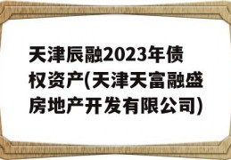 天津辰融2023年债权资产(天津天富融盛房地产开发有限公司)