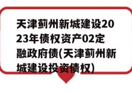 天津蓟州新城建设2023年债权资产02定融政府债(天津蓟州新城建设投资债权)