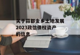 关于蒜都金乡土地发展2023政信债权资产的信息