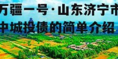 万疆一号·山东济宁市中城投债的简单介绍