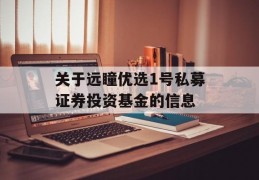 关于远瞳优选1号私募证券投资基金的信息