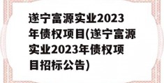 遂宁富源实业2023年债权项目(遂宁富源实业2023年债权项目招标公告)