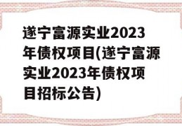 遂宁富源实业2023年债权项目(遂宁富源实业2023年债权项目招标公告)