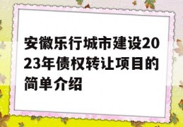 安徽乐行城市建设2023年债权转让项目的简单介绍