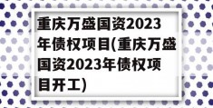 重庆万盛国资2023年债权项目(重庆万盛国资2023年债权项目开工)