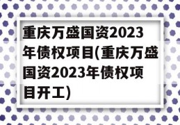 重庆万盛国资2023年债权项目(重庆万盛国资2023年债权项目开工)