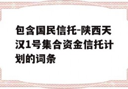 包含国民信托-陕西天汉1号集合资金信托计划的词条