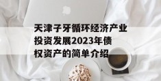 天津子牙循环经济产业投资发展2023年债权资产的简单介绍