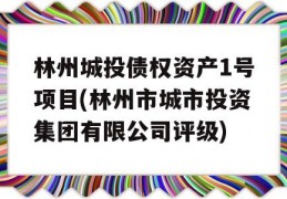 林州城投债权资产1号项目(林州市城市投资集团有限公司评级)