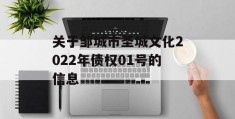 关于邹城市圣城文化2022年债权01号的信息