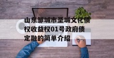 山东邹城市圣城文化债权收益权01号政府债定融的简单介绍