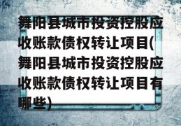 舞阳县城市投资控股应收账款债权转让项目(舞阳县城市投资控股应收账款债权转让项目有哪些)