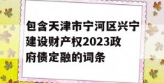 包含天津市宁河区兴宁建设财产权2023政府债定融的词条