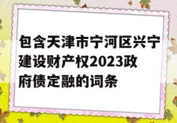 包含天津市宁河区兴宁建设财产权2023政府债定融的词条