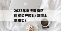 2023年重庆潼南区债权资产转让(潼南土地拍卖)