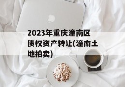 2023年重庆潼南区债权资产转让(潼南土地拍卖)