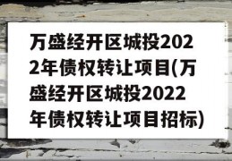 万盛经开区城投2022年债权转让项目(万盛经开区城投2022年债权转让项目招标)