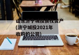 山东济宁城投债权资产(济宁城投2021年收购的公司)