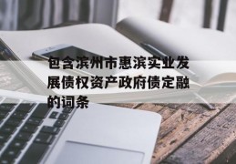 包含滨州市惠滨实业发展债权资产政府债定融的词条