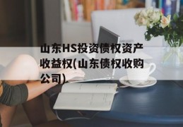 山东HS投资债权资产收益权(山东债权收购公司)