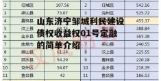 山东济宁邹城利民建设债权收益权01号定融的简单介绍