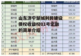 山东济宁邹城利民建设债权收益权01号定融的简单介绍