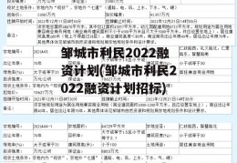 邹城市利民2022融资计划(邹城市利民2022融资计划招标)