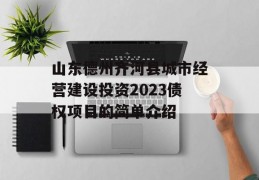 山东德州齐河县城市经营建设投资2023债权项目的简单介绍