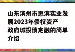 山东滨州市惠滨实业发展2023年债权资产政府城投债定融的简单介绍